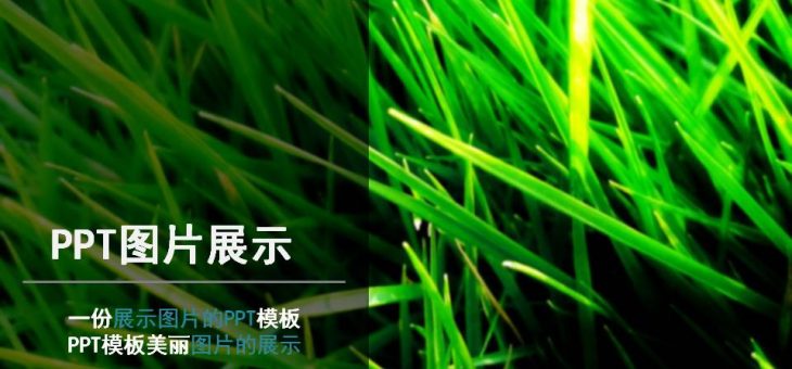 PPT模板分享下载-061-清新风格商务简约PPT模板