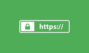 https网站安全检测服务